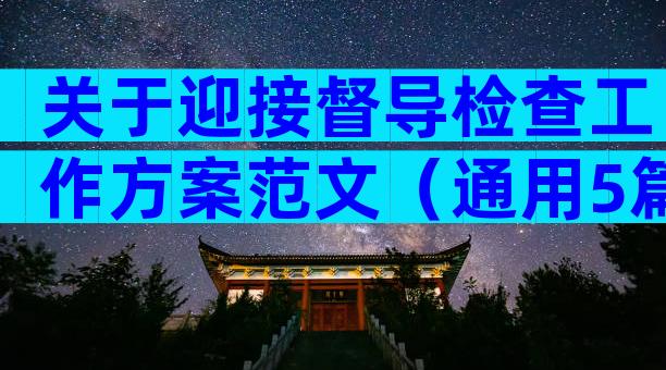 关于迎接督导检查工作方案范文（通用5篇）
