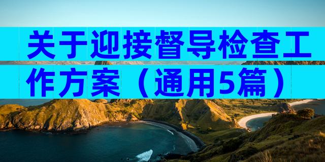 关于迎接督导检查工作方案（通用5篇）