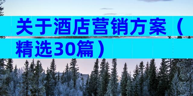 关于酒店营销方案（精选30篇）