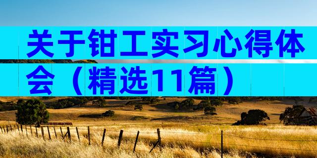 关于钳工实习心得体会（精选11篇）