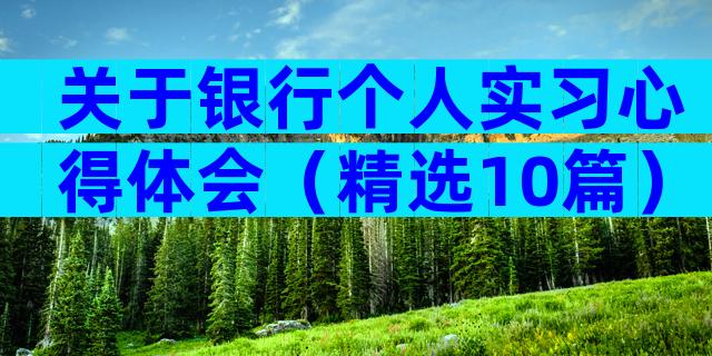 关于银行个人实习心得体会（精选10篇）