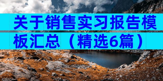 关于销售实习报告模板汇总（精选6篇）