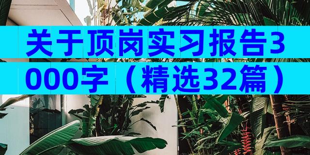 关于顶岗实习报告3000字（精选32篇）