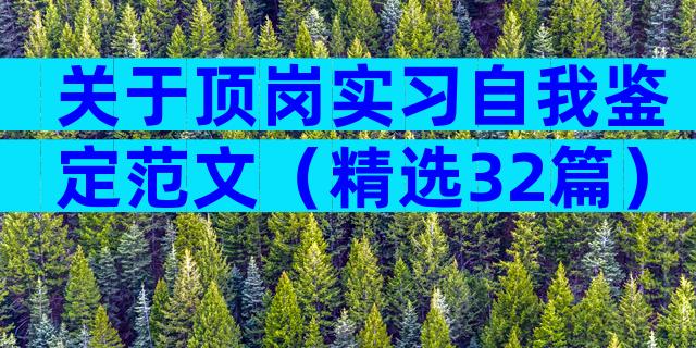 关于顶岗实习自我鉴定范文（精选32篇）