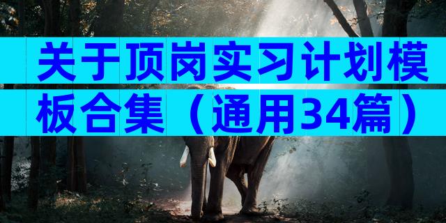 关于顶岗实习计划模板合集（通用34篇）