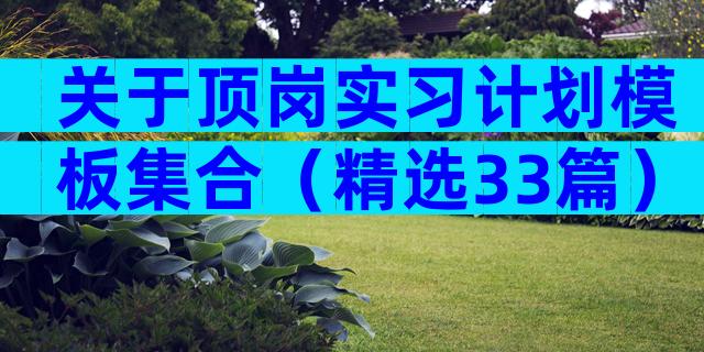关于顶岗实习计划模板集合（精选33篇）