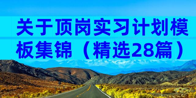 关于顶岗实习计划模板集锦（精选28篇）