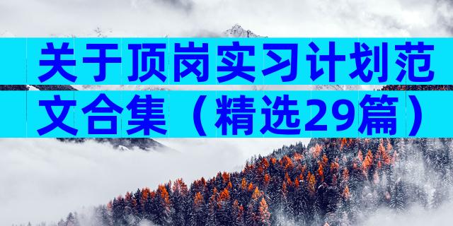 关于顶岗实习计划范文合集（精选29篇）