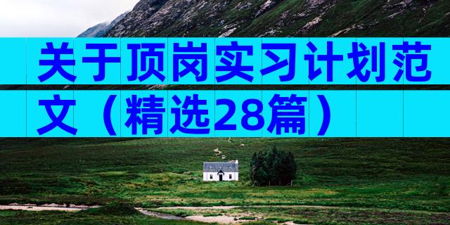 关于顶岗实习计划范文（精选28篇）