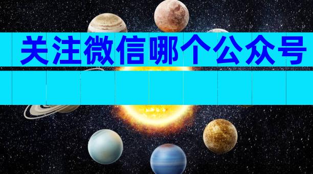 关注微信哪个公众号