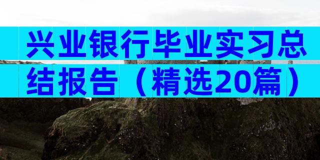 兴业银行毕业实习总结报告（精选20篇）