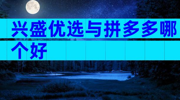 兴盛优选与拼多多哪个好