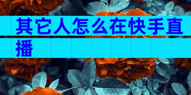 其它人怎么在快手直播