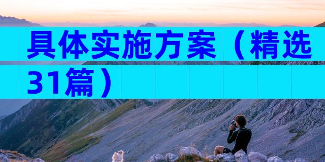具体实施方案（精选31篇）