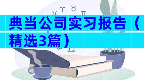 典当公司实习报告（精选3篇）