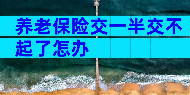 养老保险交一半交不起了怎办