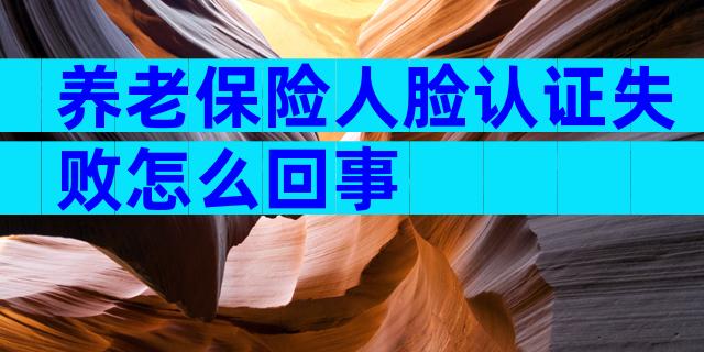 养老保险人脸认证失败怎么回事