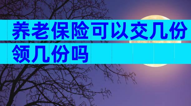 养老保险可以交几份领几份吗