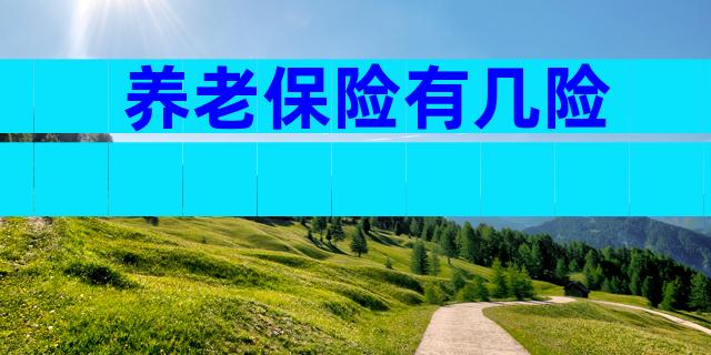 养老保险有几险
