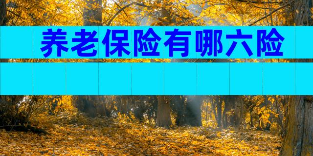 养老保险有哪六险