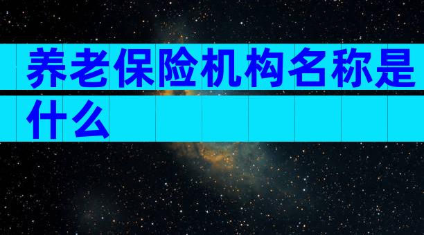 养老保险机构名称是什么