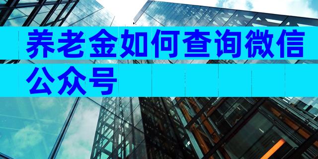 养老金如何查询微信公众号