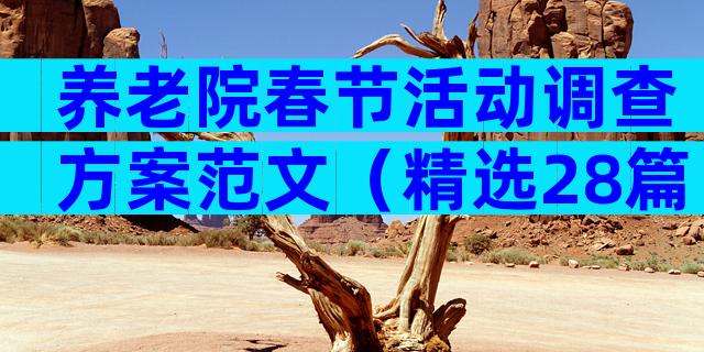 养老院春节活动调查方案范文（精选28篇）