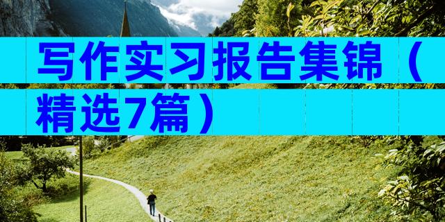 写作实习报告集锦（精选7篇）