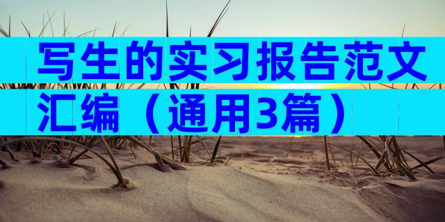 写生的实习报告范文汇编（通用3篇）