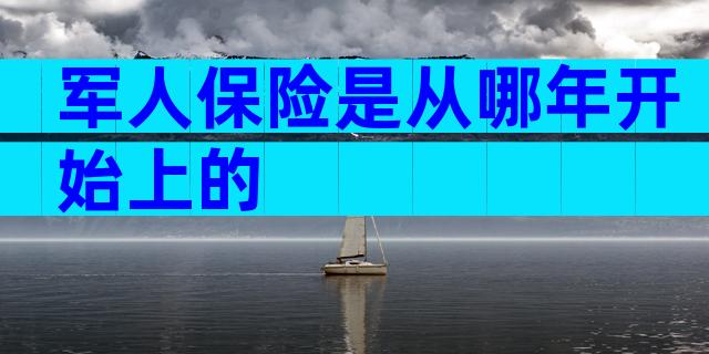 军人保险是从哪年开始上的