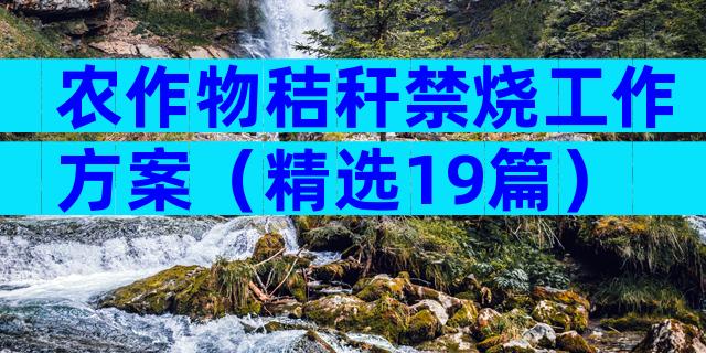 农作物秸秆禁烧工作方案（精选19篇）