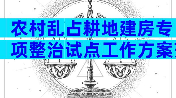 农村乱占耕地建房专项整治试点工作方案范文（精选3篇）