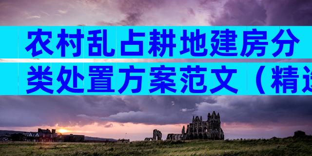 农村乱占耕地建房分类处置方案范文（精选29篇）