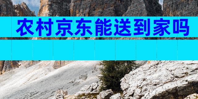 农村京东能送到家吗