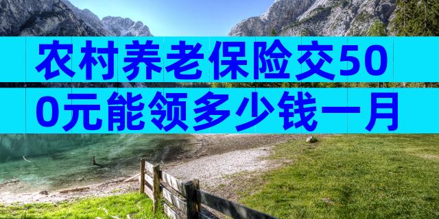 农村养老保险交500元能领多少钱一月