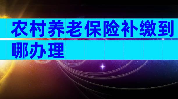 农村养老保险补缴到哪办理