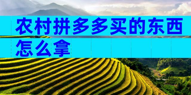 农村拼多多买的东西怎么拿