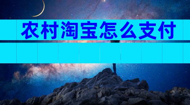 农村淘宝怎么支付