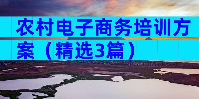 农村电子商务培训方案（精选3篇）