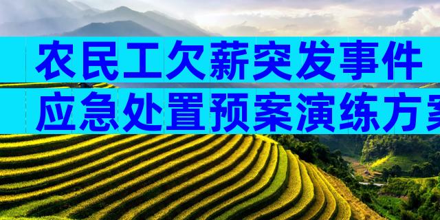 农民工欠薪突发事件应急处置预案演练方案（精选8篇）