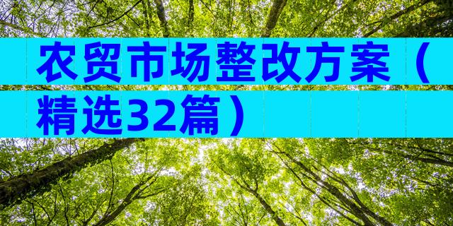 农贸市场整改方案（精选32篇）
