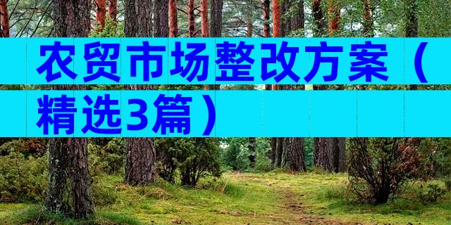 农贸市场整改方案（精选3篇）