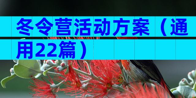 冬令营活动方案（通用22篇）