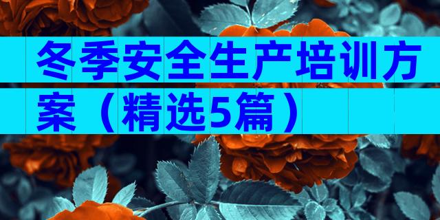 冬季安全生产培训方案（精选5篇）
