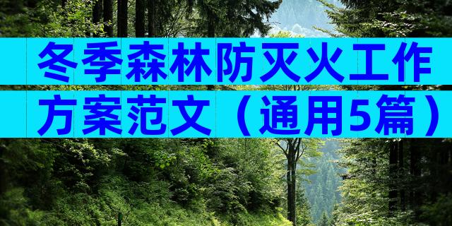 冬季森林防灭火工作方案范文（通用5篇）