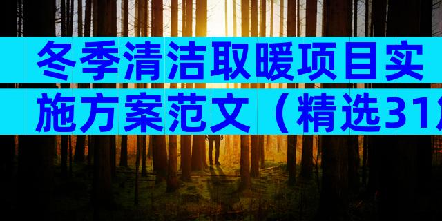 冬季清洁取暖项目实施方案范文（精选31篇）