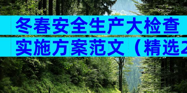 冬春安全生产大检查实施方案范文（精选21篇）