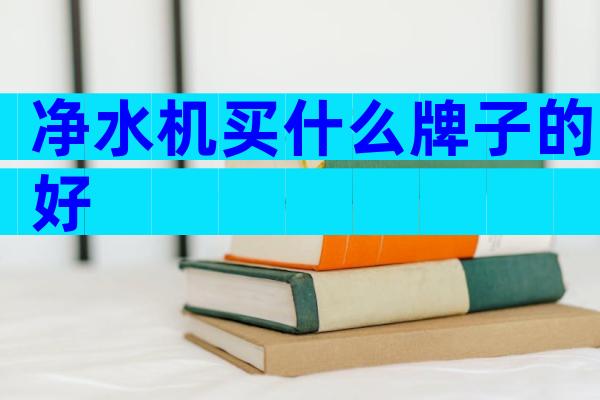 净水机买什么牌子的好