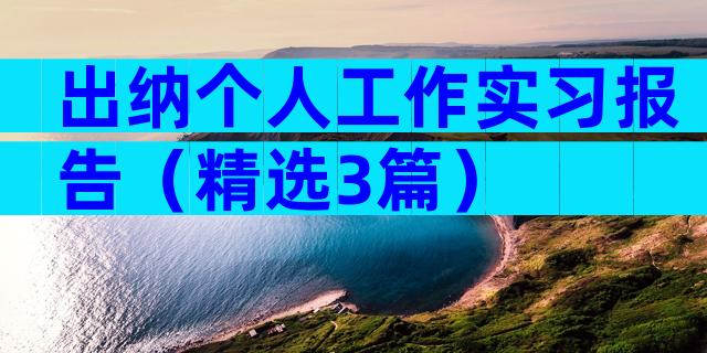 出纳个人工作实习报告（精选3篇）
