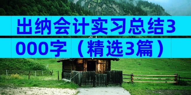 出纳会计实习总结3000字（精选3篇）
